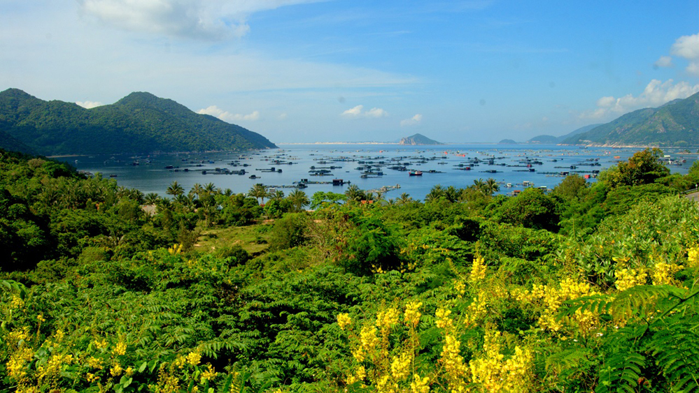 Image Link
