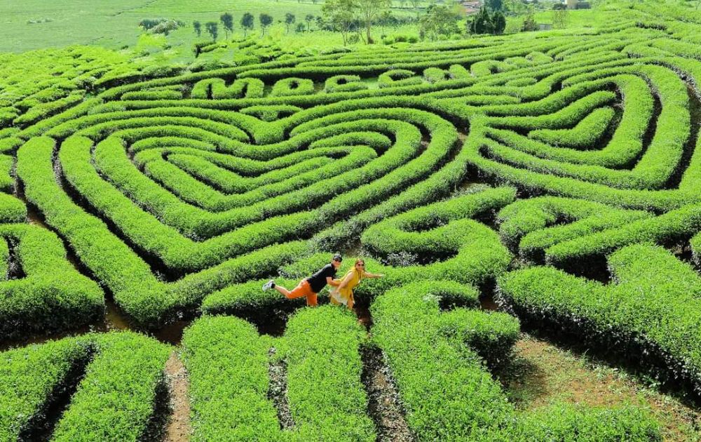 Tour Hà Nội - Mộc Châu - Hang Táu 2N1D