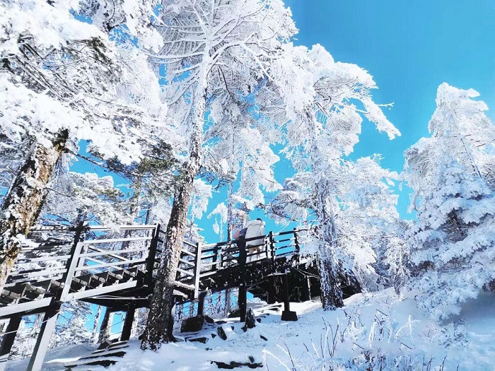 TOP Tour Du Lịch Núi Tuyết Kiệu Tử Từ Hà Nội Trọn Gói Giá Rẻ | Etrip4u