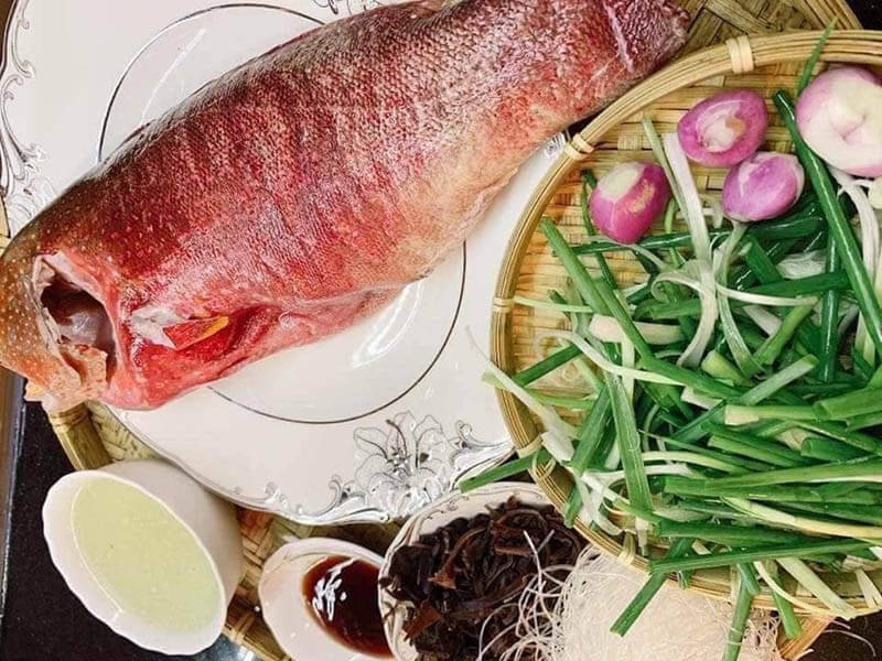 Cá mú đỏ Cá mú đỏ