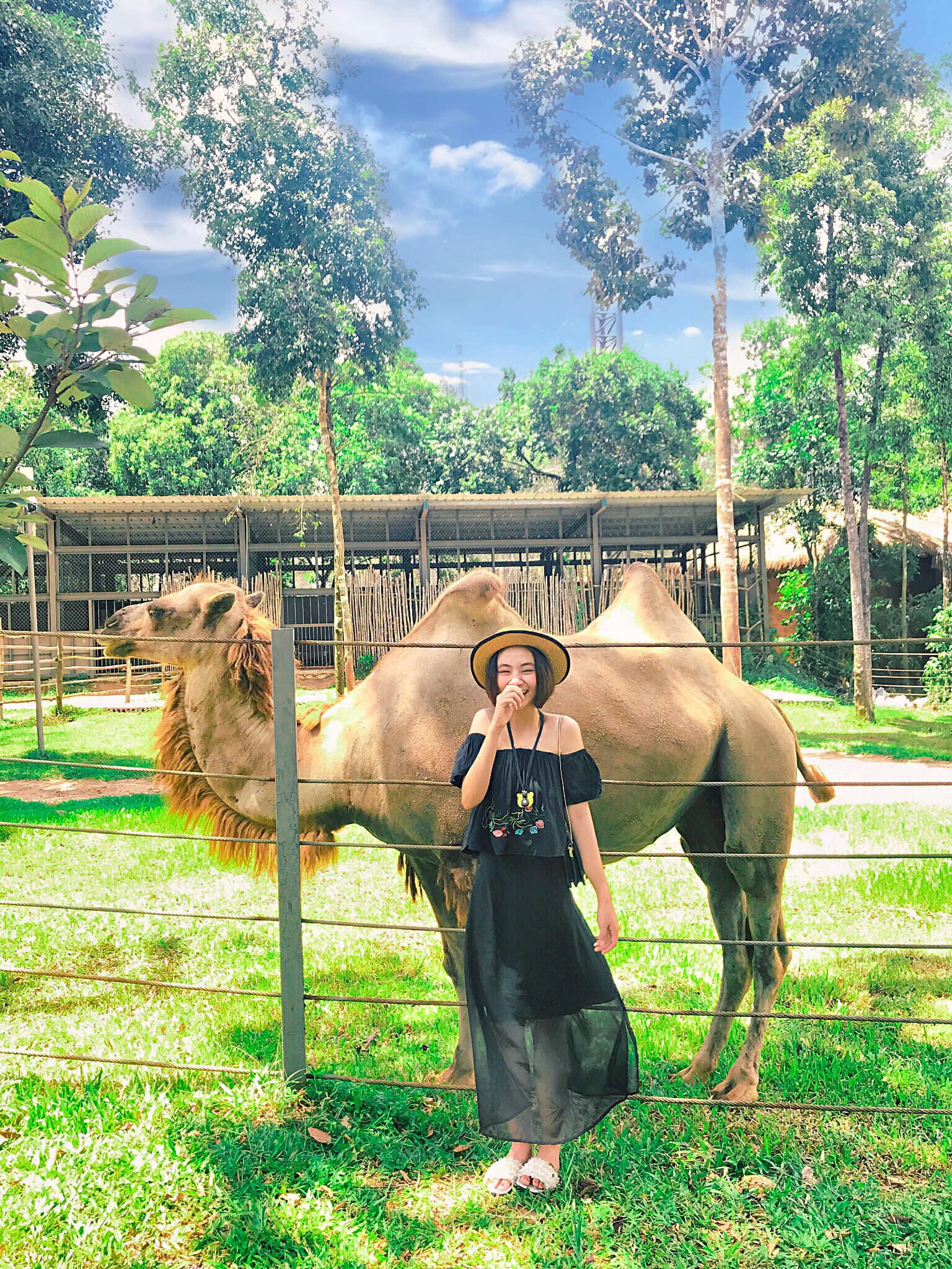 Vinpearl và Safari Vinpearl và Safari