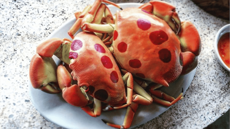 Cua mặt trăng Cua mặt trăng