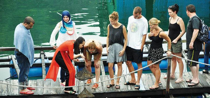 Khu nuôi cấy ngọc trai Côn Đảo Khu nuôi cấy ngọc trai Côn Đảo