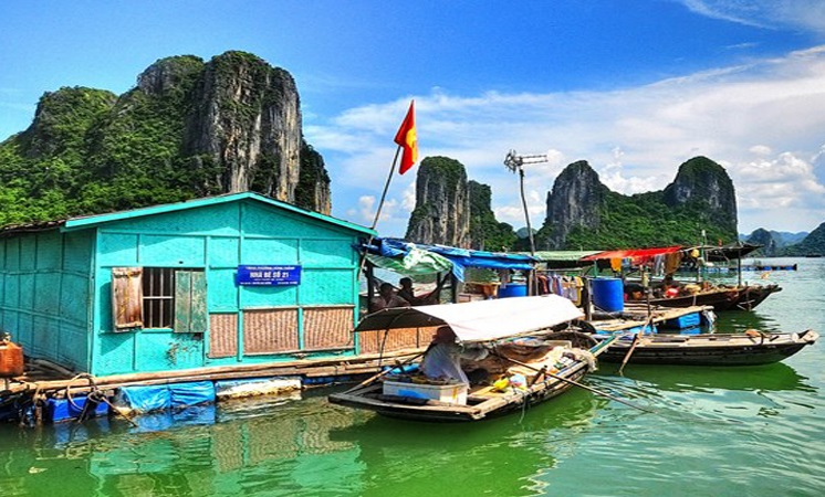 Làng chài cổ Cái Bèo thu hút nhiều khách tham quan đến tìm hiểu cuộc sống của người ngư dân Làng chài cổ Cái Bèo thu hút nhiều khách tham quan đến tìm hiểu cuộc sống của người ngư dân