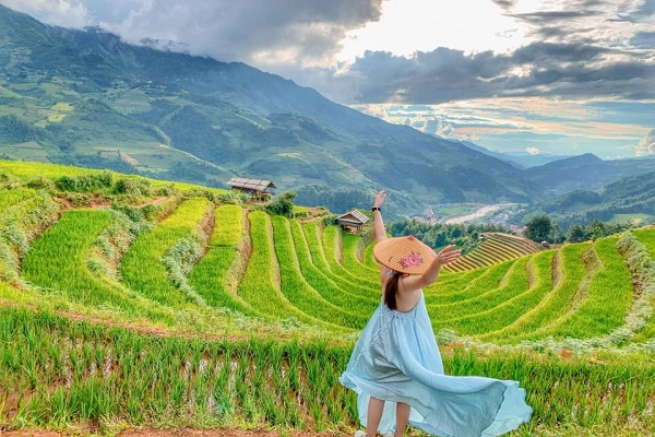 Những thửa ruộng xanh mướt màu mạ non Những thửa ruộng xanh mướt màu mạ non