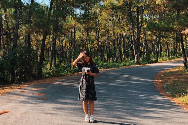 Đồi Thiên An như một góc Đà Lạt trong lòng xứ Huế