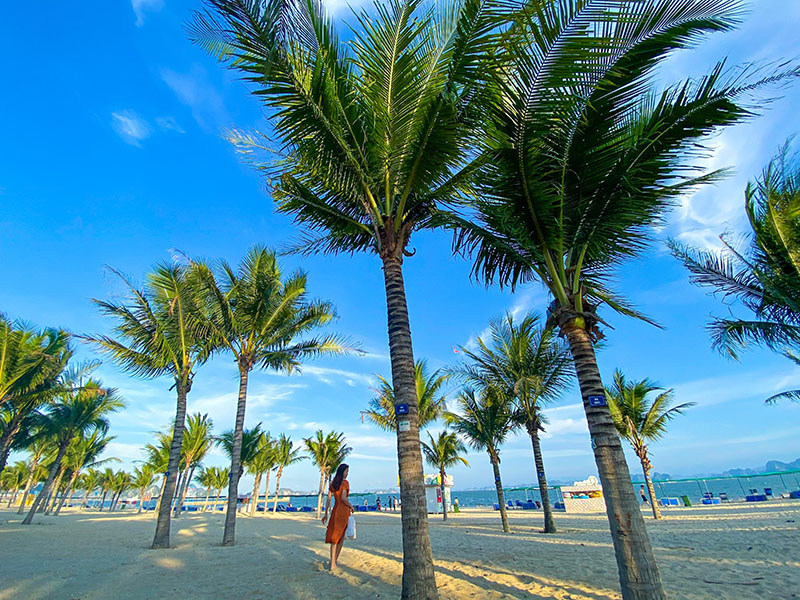 Bãi tắm Bãi Cháy, Hạ Long Bãi tắm Bãi Cháy, Hạ Long