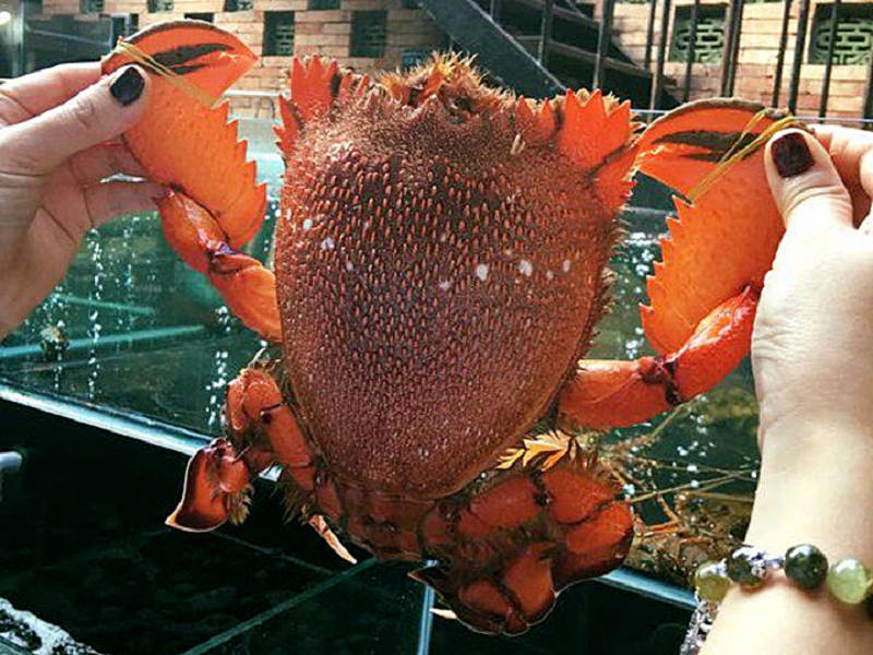 Đặc sản cua Huỳnh Đế ở Lý Sơn