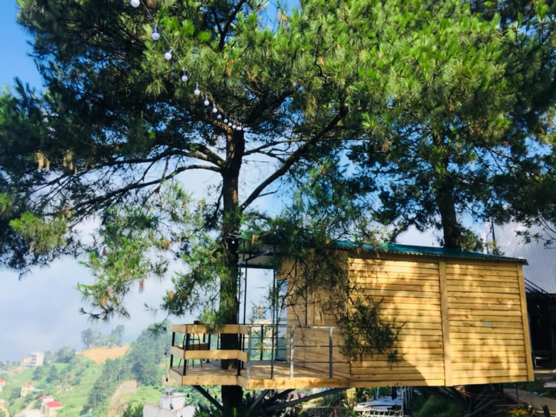 Những căn nh&agrave; gỗ tr&ecirc;n c&acirc;y v&ocirc; c&ugrave;ng độc đ&aacute;o của 90s Homestay