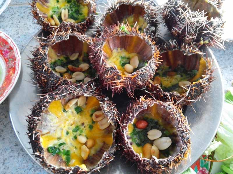 Nhum biển được chế biến thành nhiều món ngon trở thành đặc sản Lý SơnNhum biển được chế biến thành nhiều món ngon trở thành đặc sản Lý Sơn