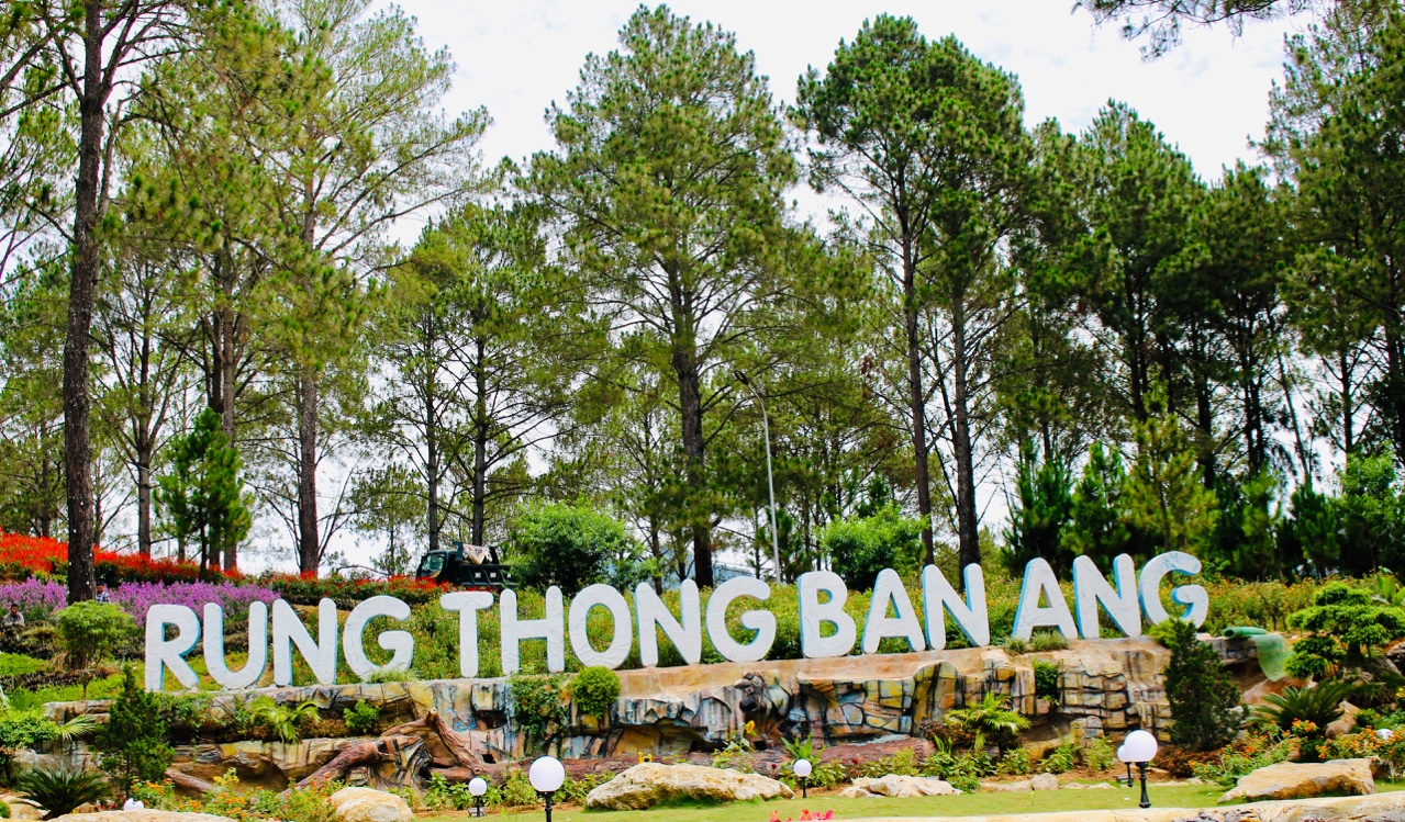 Du lịch Mộc Châu - Tham quan - Lưu trú - Ẩm thực - Đi lại