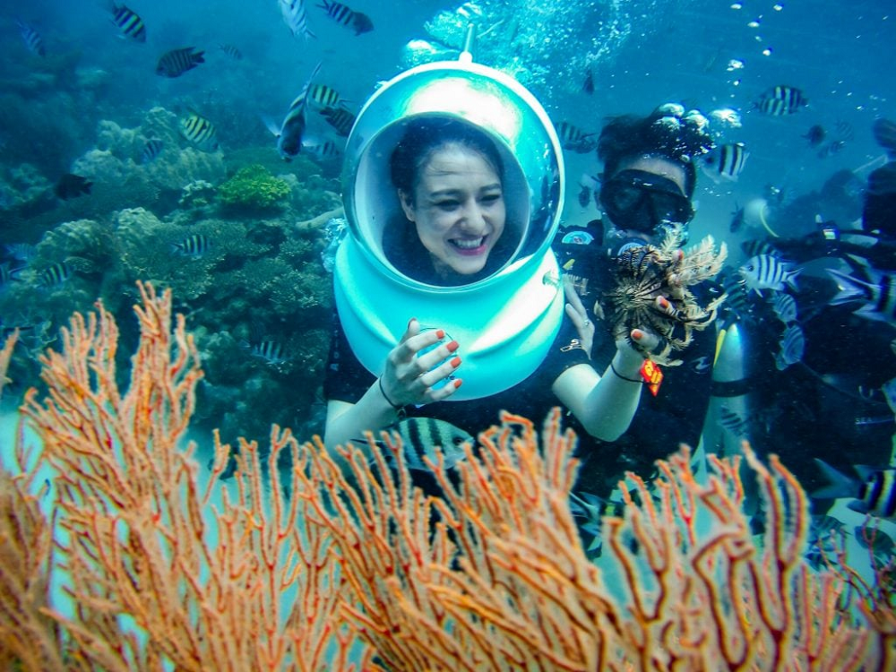 Lặn ngắm san h&ocirc; l&agrave; trải nghiệm kh&ocirc;ng du kh&aacute;ch n&agrave;o muốn bỏ lỡ