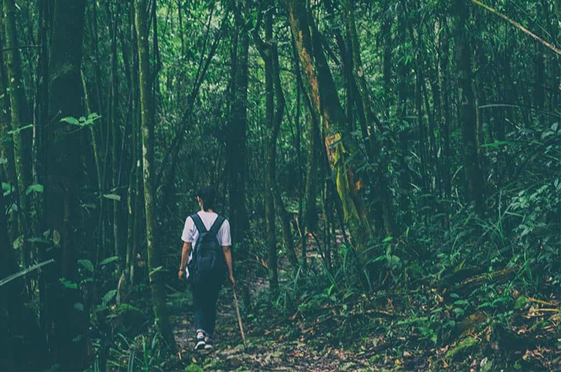 Trekking Vườn Quốc gia Tam Đảo