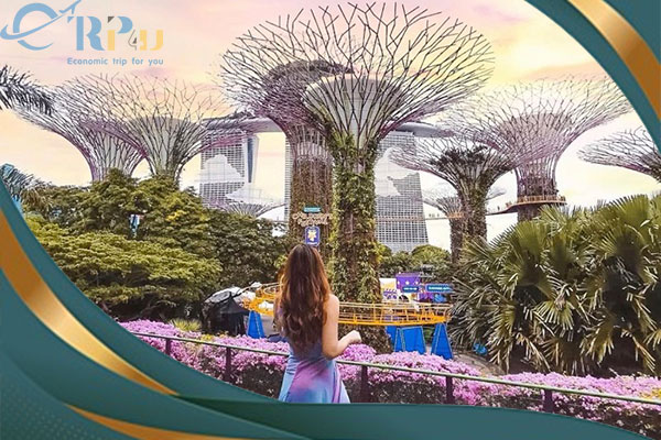 Chi phí đi du lịch singapore tự túc