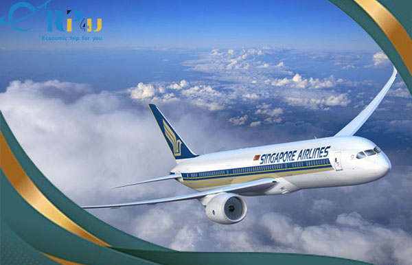 cách di chuyển đến singapore bằng máy bay
