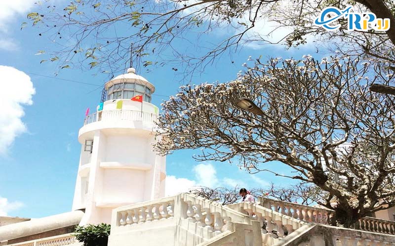 Khung cảnh con đường đi lên ngọn hải đăng đẹp không kém xứ hàn Khung cảnh con đường đi lên ngọn hải đăng đẹp không kém xứ hàn