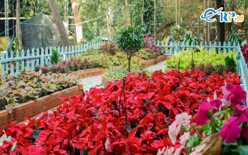 Nơi đây có bức tượng phật Thích Ca tọa trên đài sen, phía trước có Sảnh Đanh Nơi đây có bức tượng phật Thích Ca tọa trên đài sen, phía trước có Sảnh Đanh