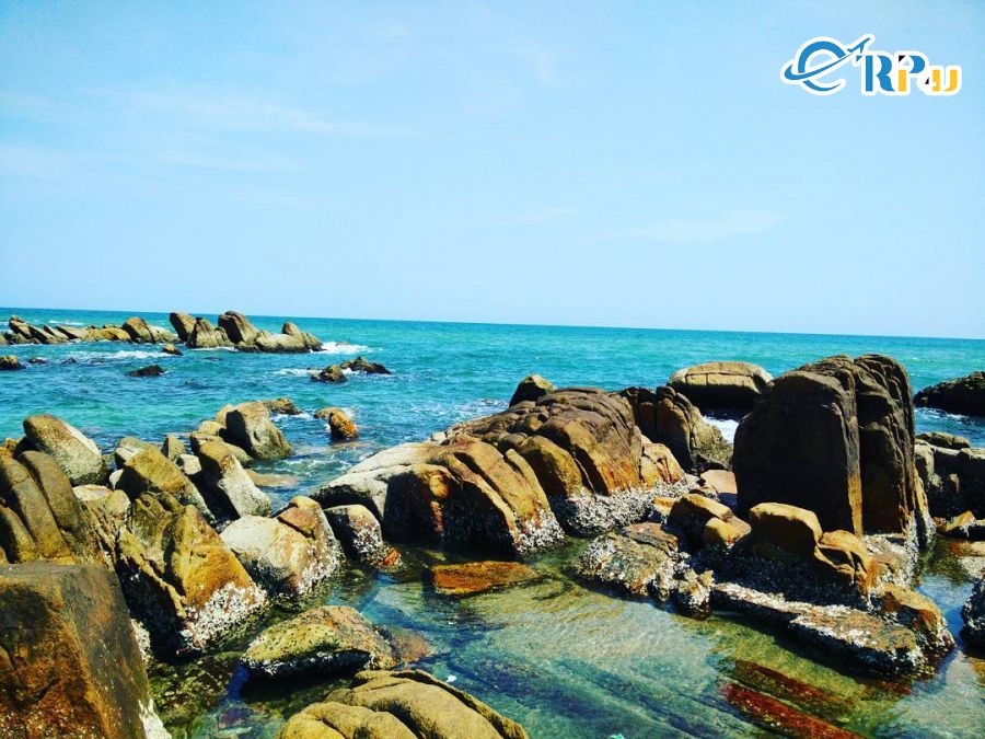 B&atilde;i Đ&aacute; Nhảy thuộc Quảng B&igrave;nh