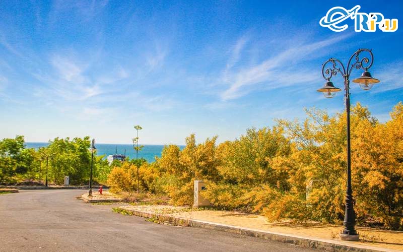 Rừng keo lá Tràm được xem như là một địa điểm “check-in” mới tại Phan Thiết Rừng keo lá Tràm được xem như là một địa điểm “check-in” mới tại Phan Thiết