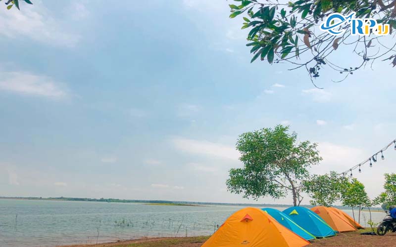 Hàng cây tạo bóng mát, không gian sảng khoái và mát mẻ Hàng cây tạo bóng mát, không gian sảng khoái và mát mẻ