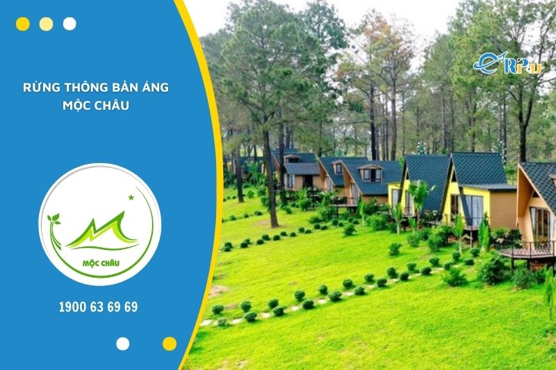 Rừng thông bản Áng là điểm dừng chân yêu thích của giới trẻ