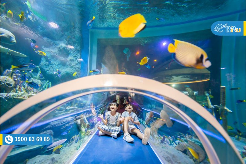 Khu Thuỷ cung VinWonder Phú Quốc - Cung điện Hải Vương