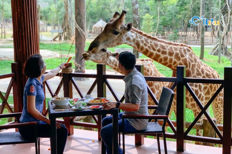 Khu bảo tồn hoang dã và khu thăm thú baby
