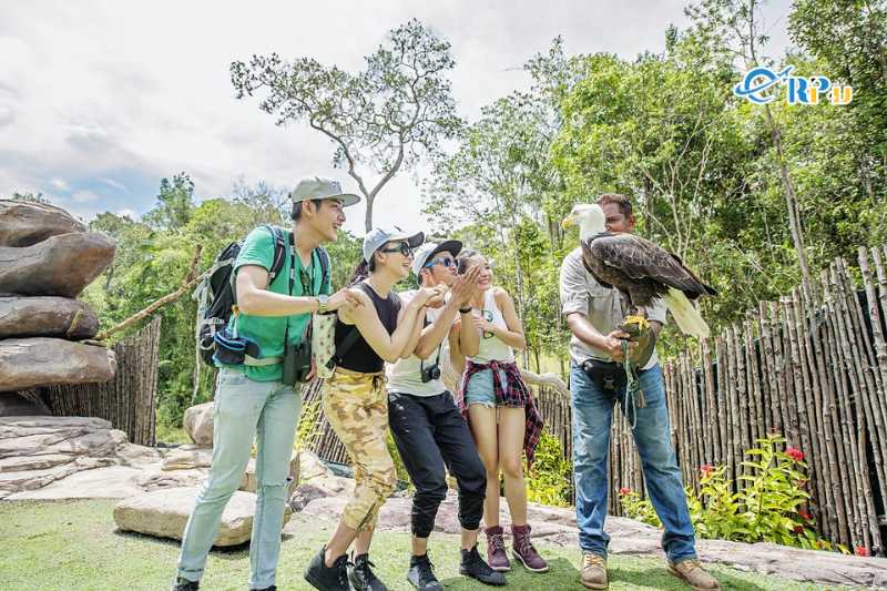 Show biểu diễn chim vin wonder nha trang