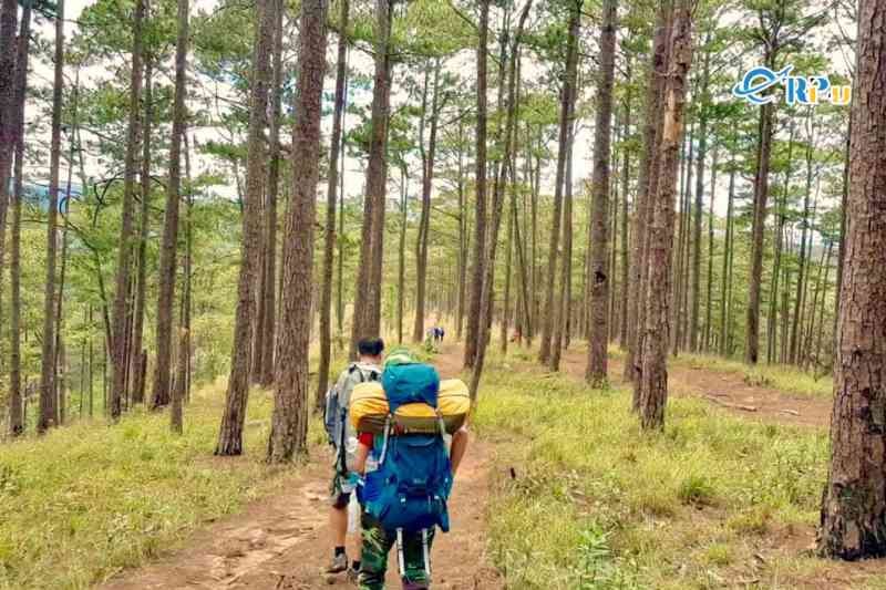 Cung đường leo đồi Radar Langbiang Đà Lạt