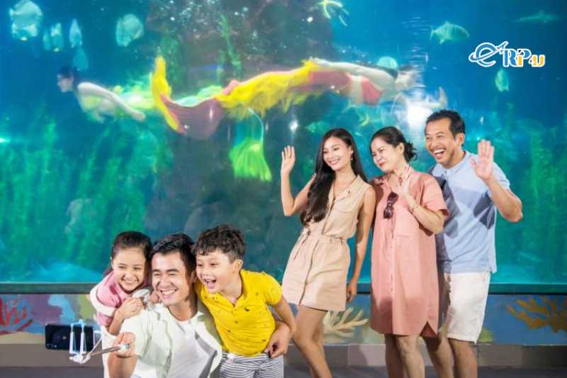 Show diễn nàng tiên cá