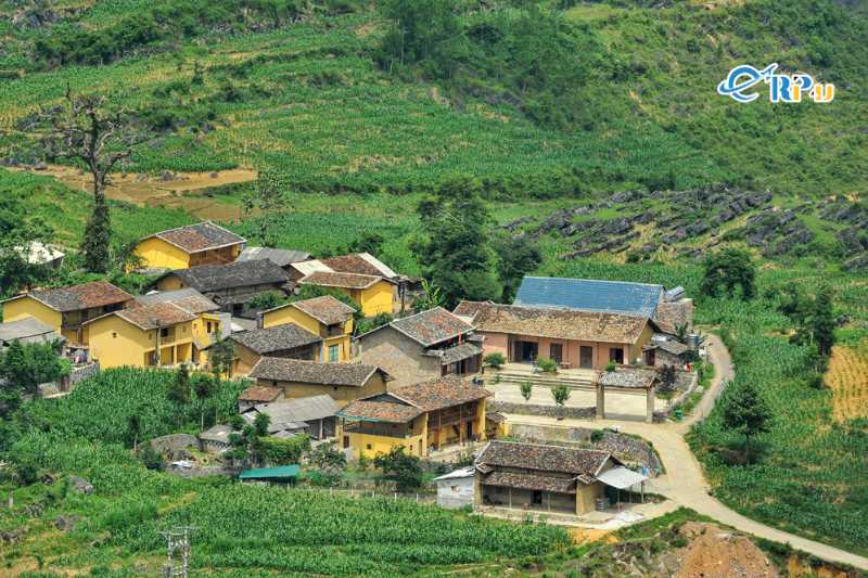 Homestay cao nguyên đá Đồng Văn