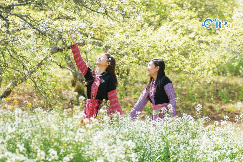 Nét đẹp đời sống dân tộc thiểu số tại Đồng Văn