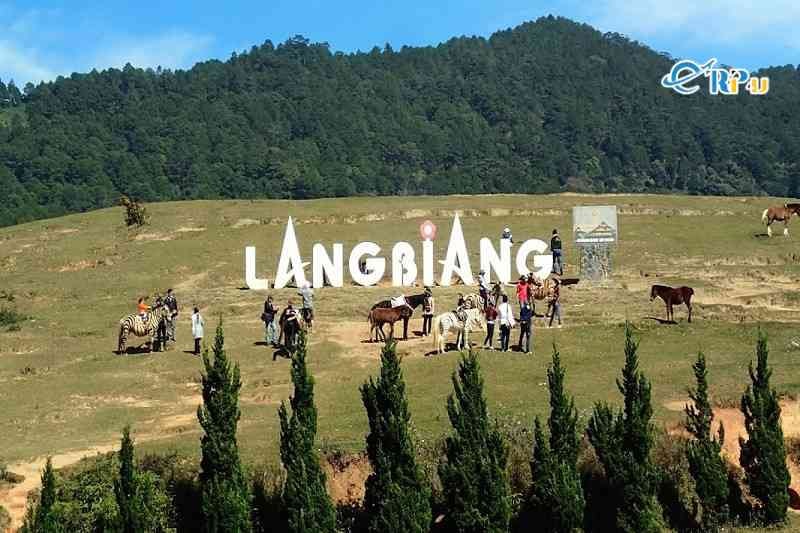Cưỡi ngựa Langbiang Đà Lạt