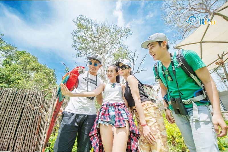 Kinh nghiệm đi công viên Safari Phú Quốc