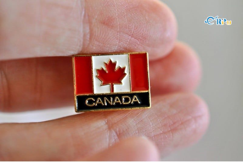 Cài áo biểu tượng của Canada