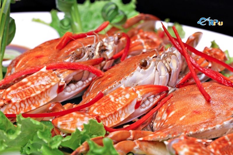 Những món ăn ngon tại Móng Cái