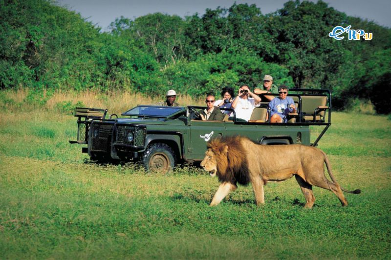 Phương tiện đi lại tại Nam Phi