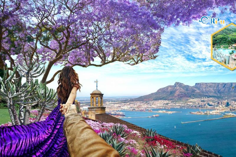 Cách xin visa đi tour Nam Phi