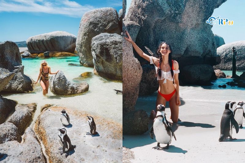 Bãi biển Boulders - Du lịch Nam Phi