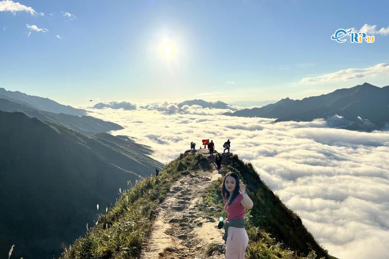 Sống lưng khủng long ở Háng Đồng