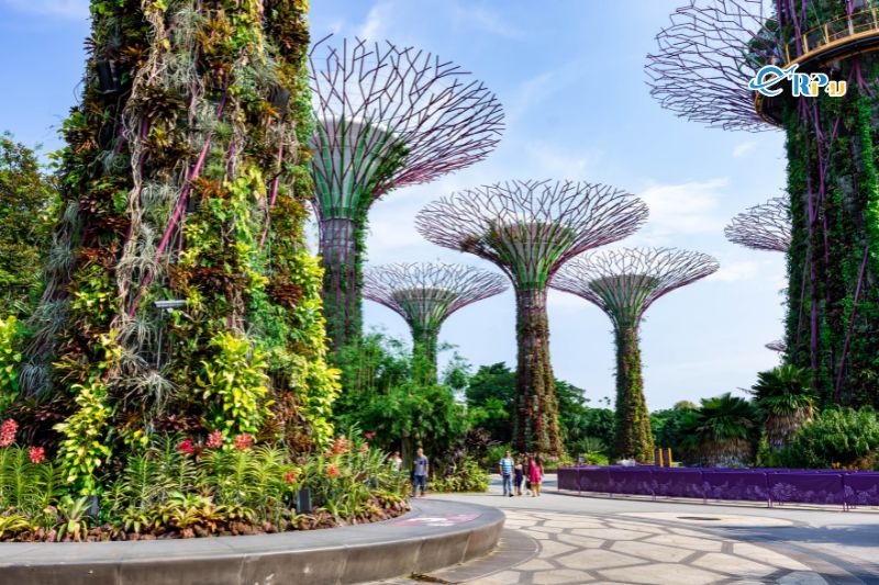 Garden by the Bay