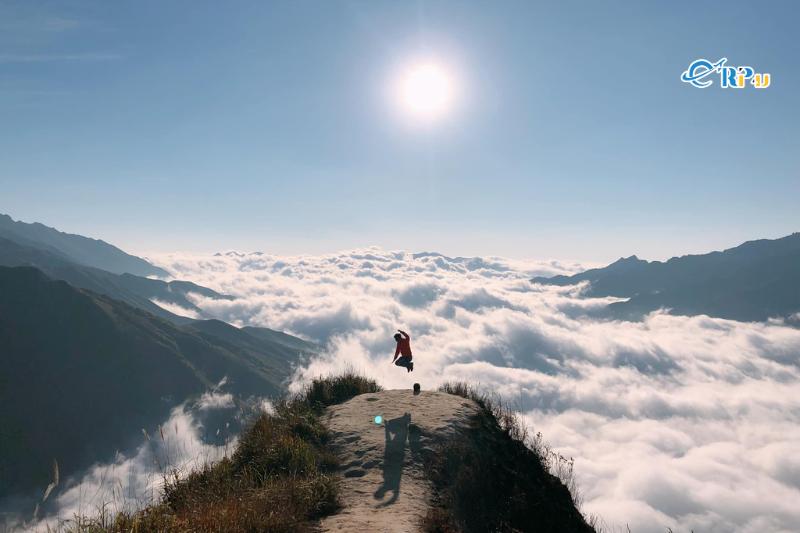 Du lịch Tà Xùa 3 ngày 2 đêm