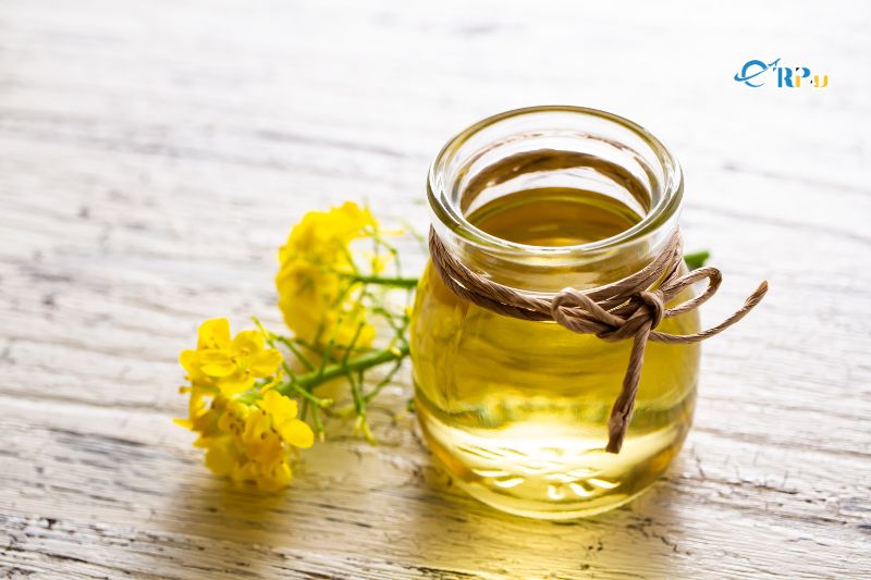 Tinh dầu hoa cải
