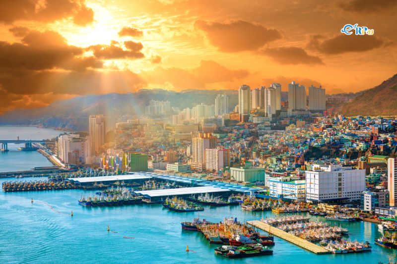 Đi du lịch Busan mùa nào đẹp?
