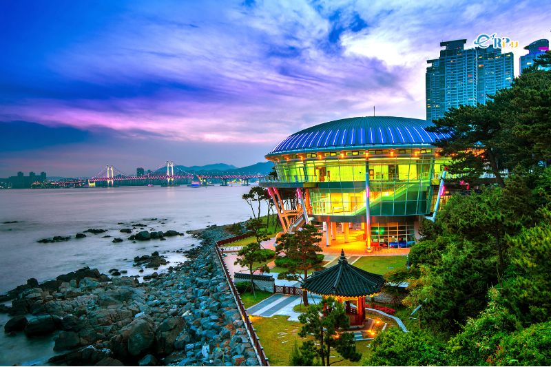Kinh nghiệm du lịch Busan