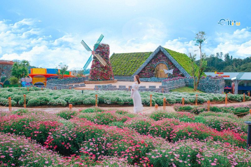 Fresh Garden Đà Lạt