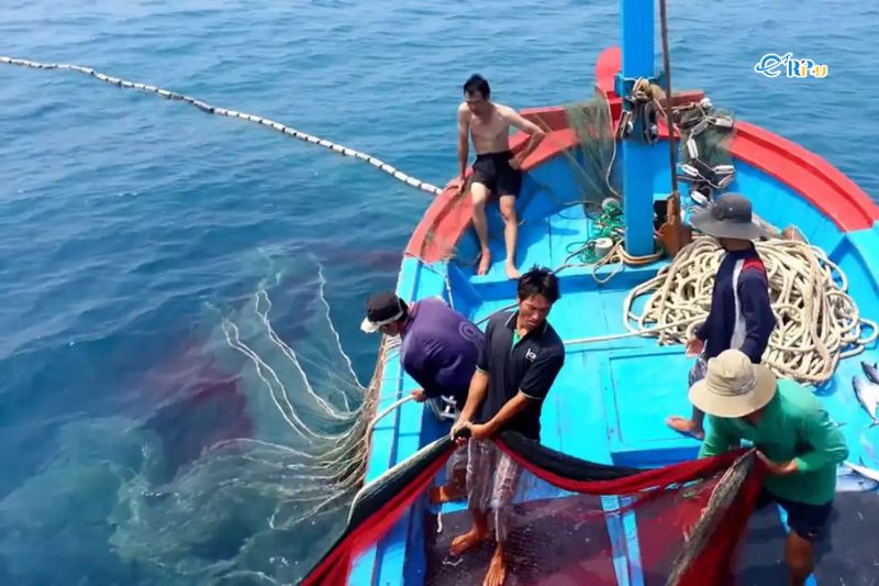 Tham gia đánh bắt hải sản cùng ngư dân