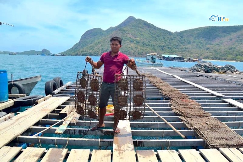 Tham quan khu nuôi cấy ngọc trai