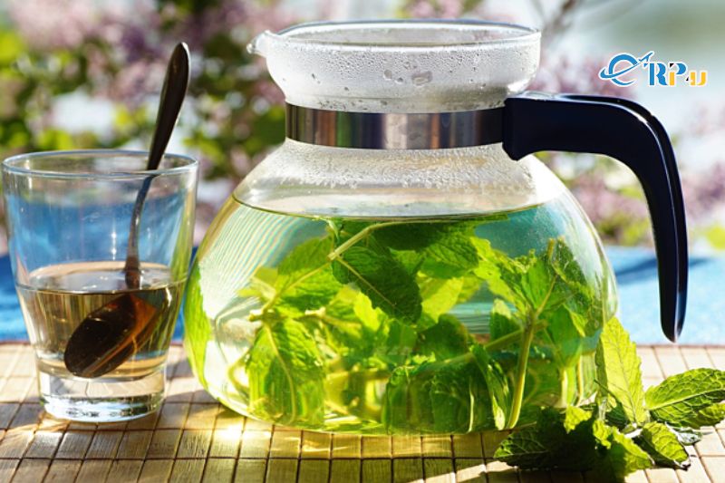 Thảo dược, thuốc lá