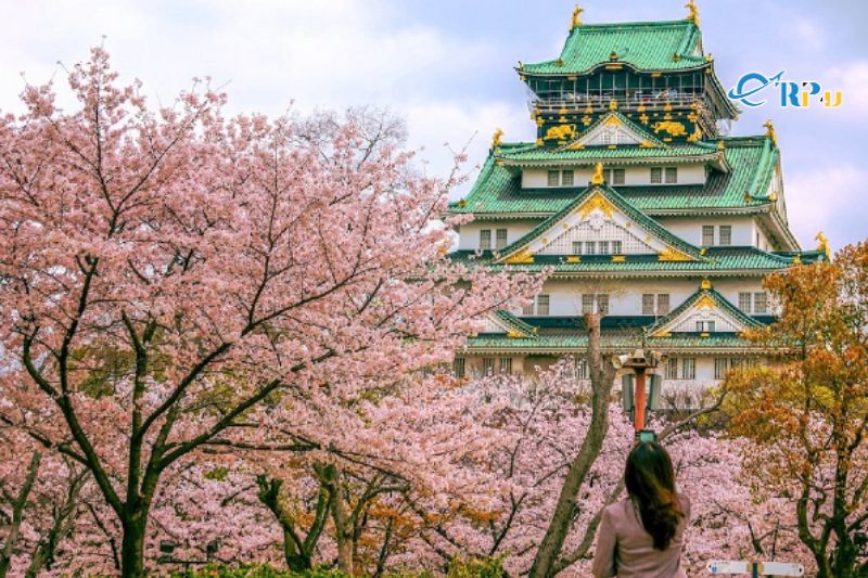 Đường bay Hà Nội - Nagoya